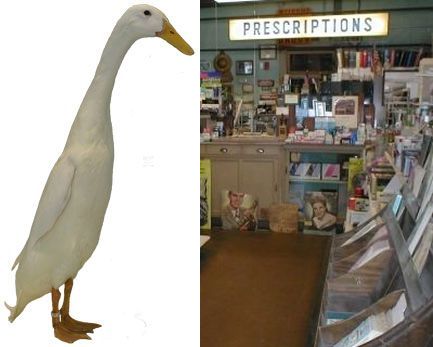 Duck Drug Store